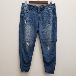 Democracy Blue Skinny Jeans with Distressed Details